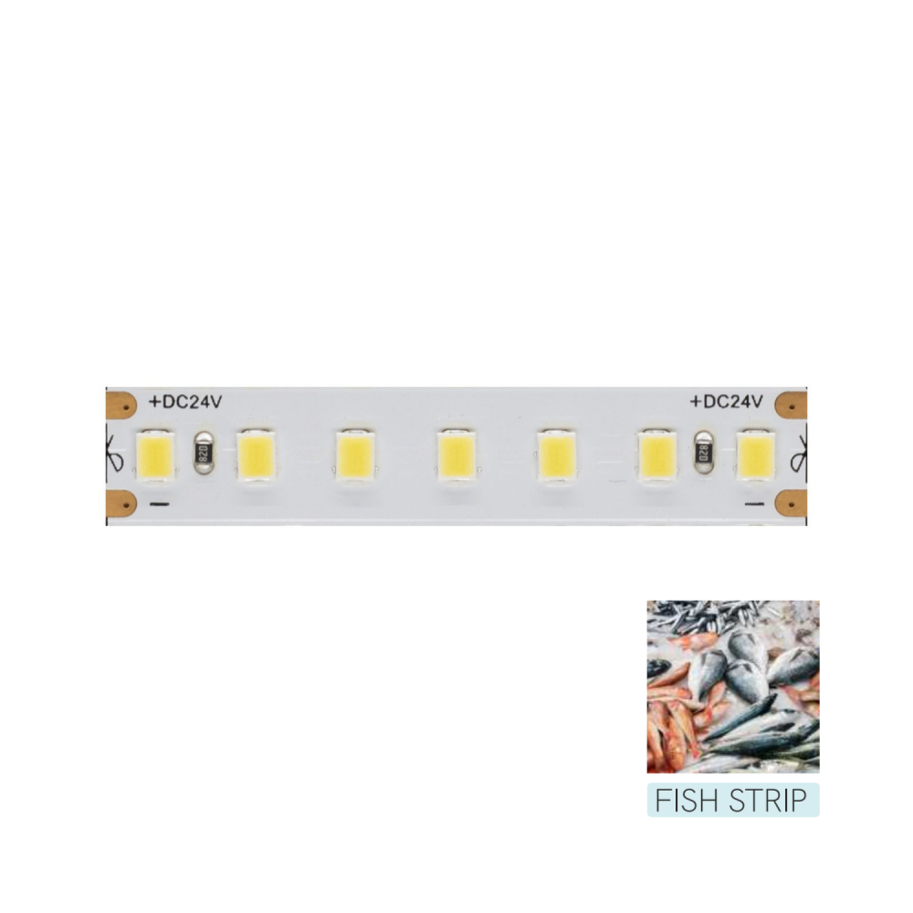 LED strip to illuminate the fish food counter - 5m coil 14.4W/M 95LM/W IP20 11,600K