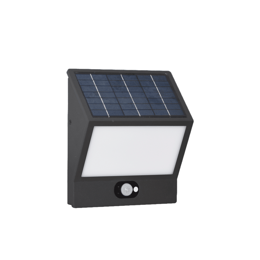 EGNA - Black solar energy spotlight 4000K Beneito Faure outdoor light