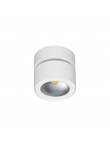 14w white round led ceiling light, tricolor. Ideal in homes, exhibition spaces and shop windows. Modern.