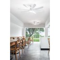 7164 B CT matt white painted metal fan with 8 white acrylic blades, ideal for living rooms or offices