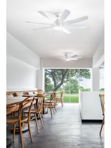 7164 B CT matt white painted metal fan with 8 white acrylic blades, ideal for living rooms or offices
