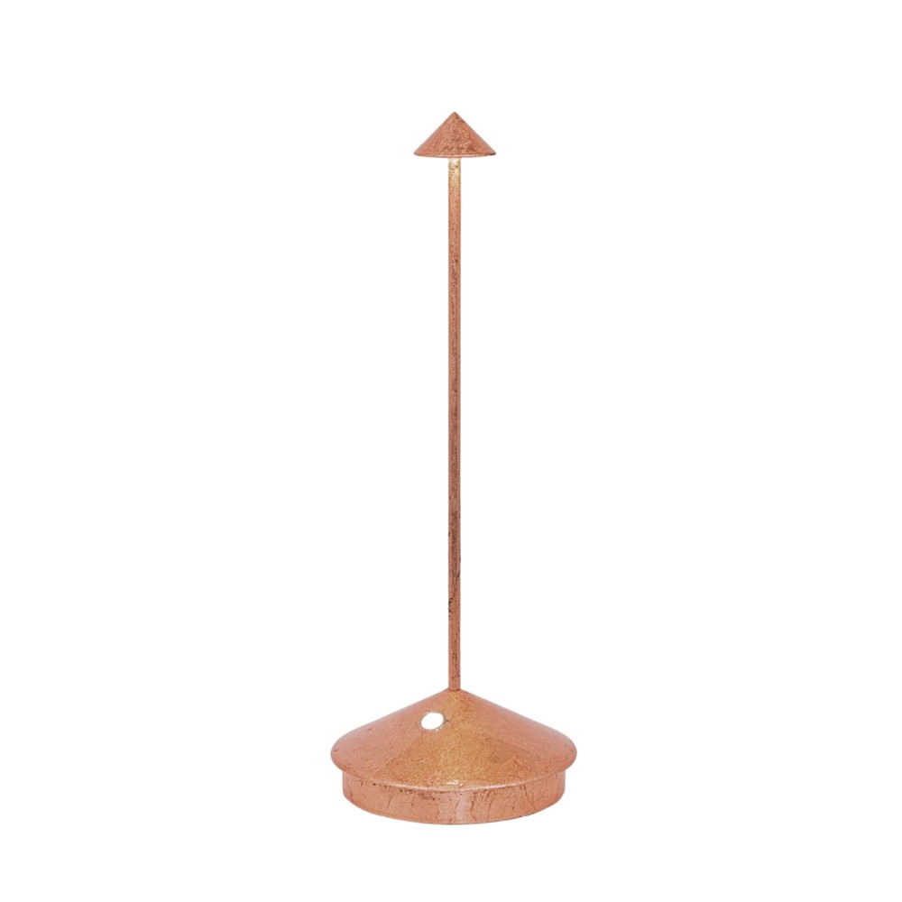 Pina Pro table led lamp Copper leaf rechargeable and dimmable